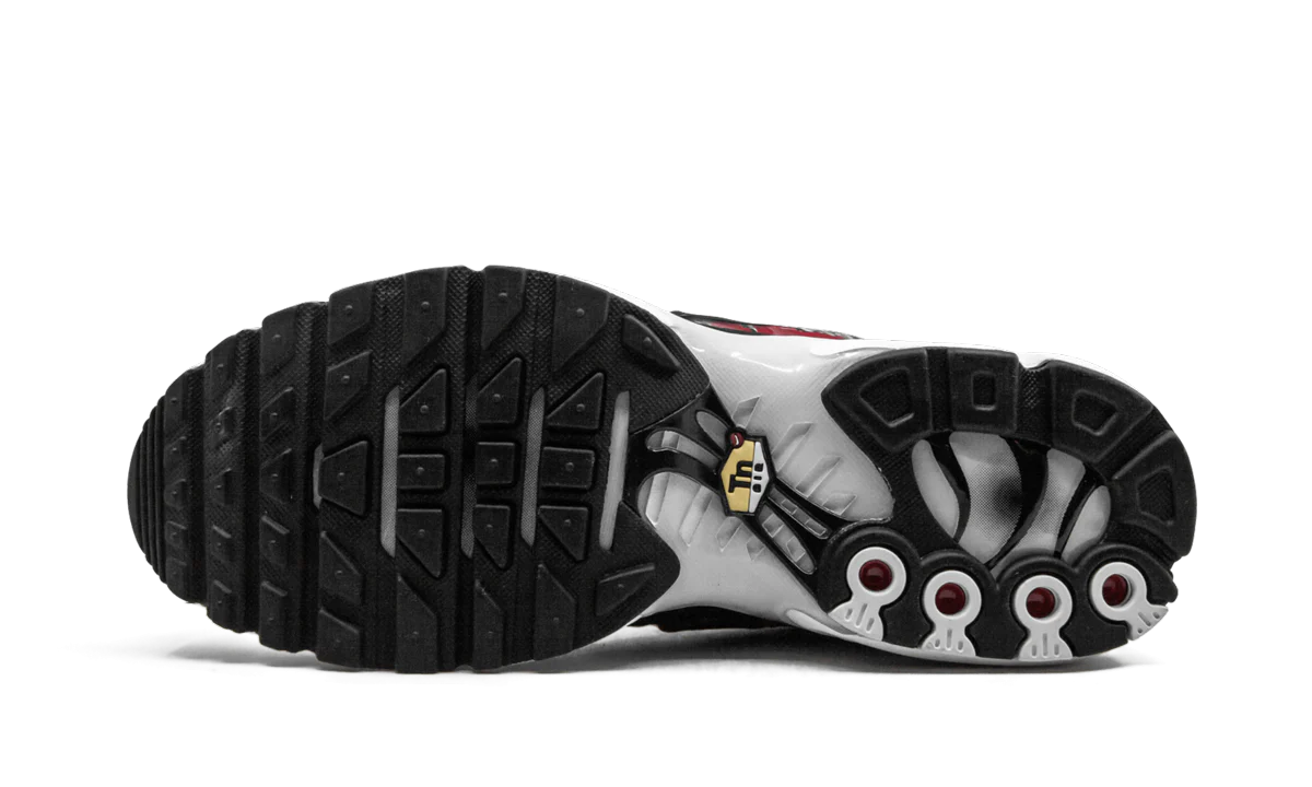 Air Max Plus TN SE "Striped" AT0040 001