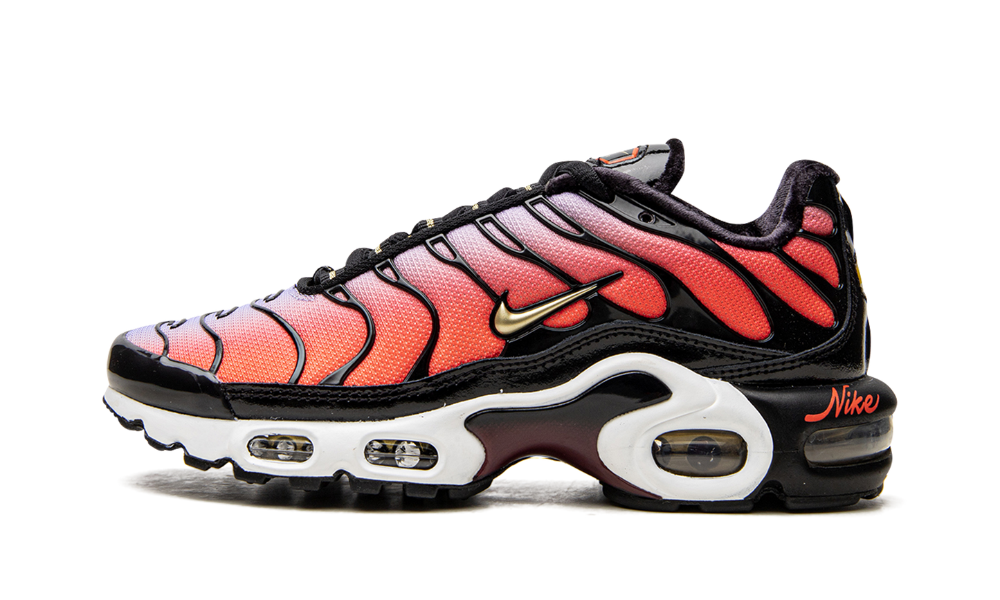 AIR MAX PLUS MNS WMNS "Sisterhood" DO6115 500