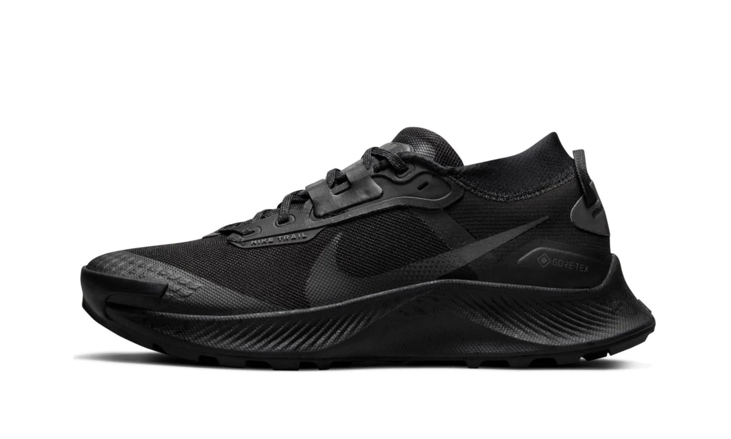 Pegasus Trail 3 Gore-Tex Wmns "Black" DC8794 001