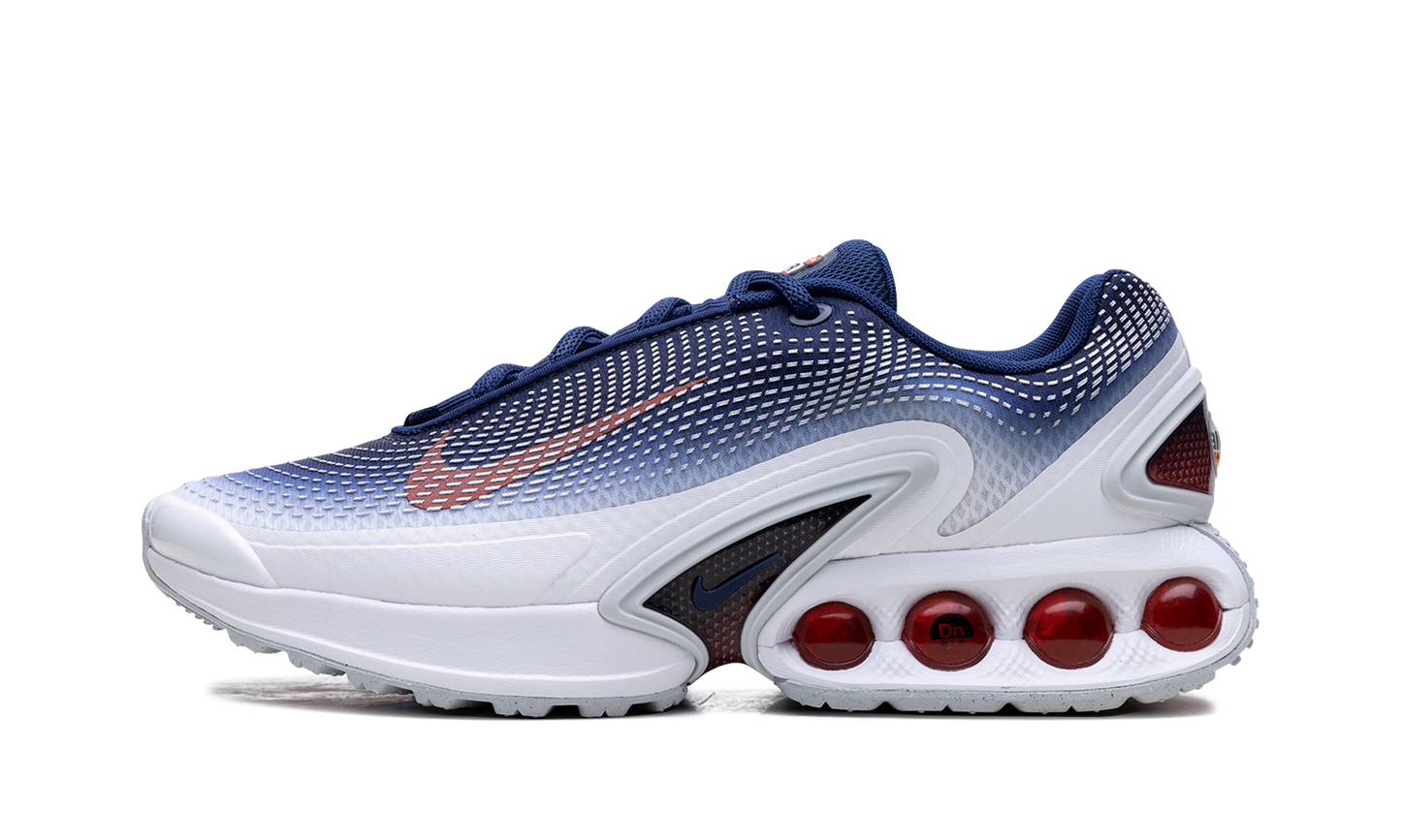 Air Max Dn "Team USA" FV2250 100