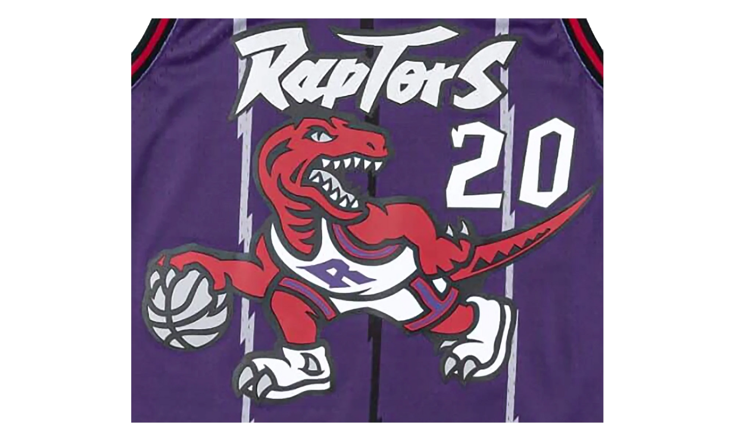 Toronto Raptors Damon Stoudamire Swingman Jersey "1995 - 96 Away" B6335651