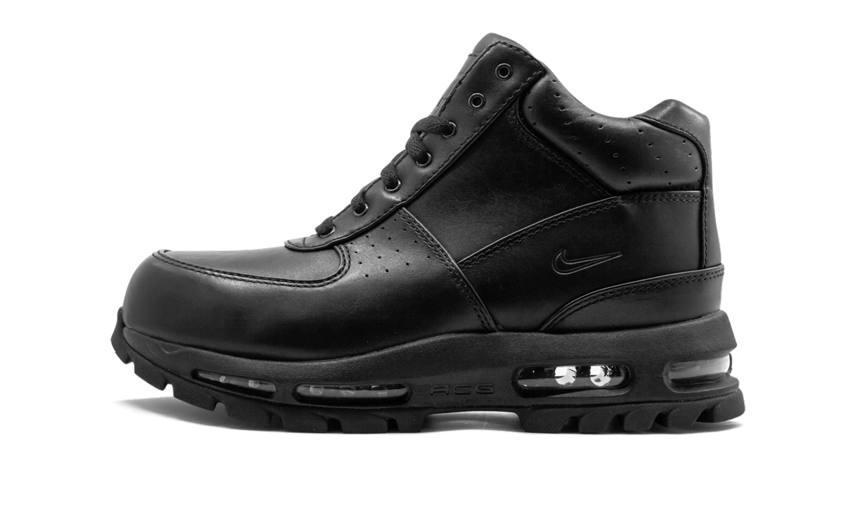 Air Max Goadome "Black" 865031 009