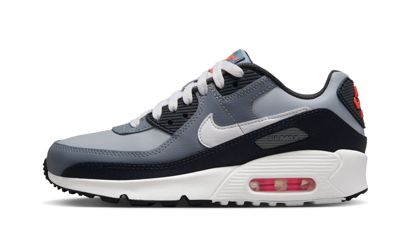 Air Max 90 GS "Wolf Gray / White" HF6358 007