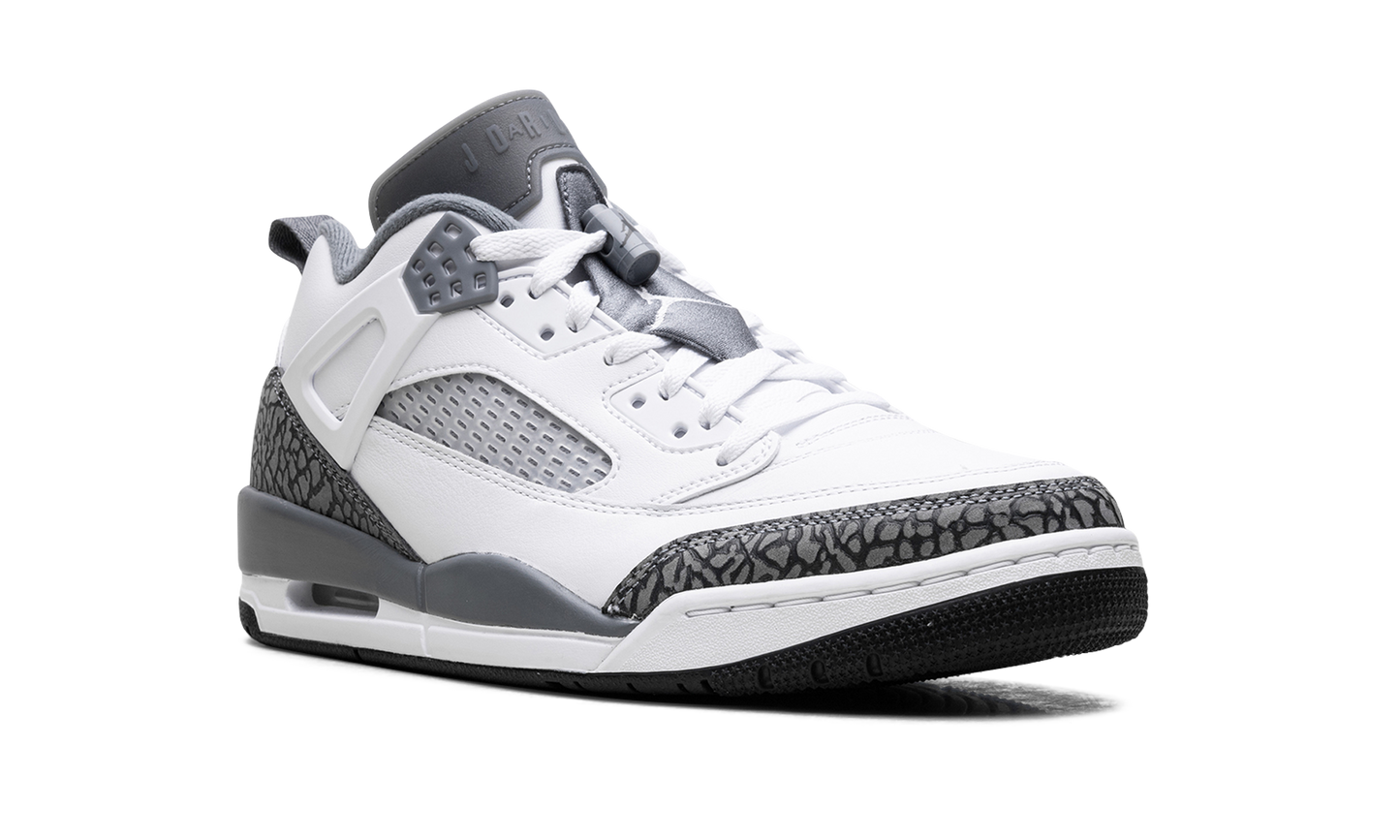 Spizike Low "Cool Grey Anthracite" FQ1759 102