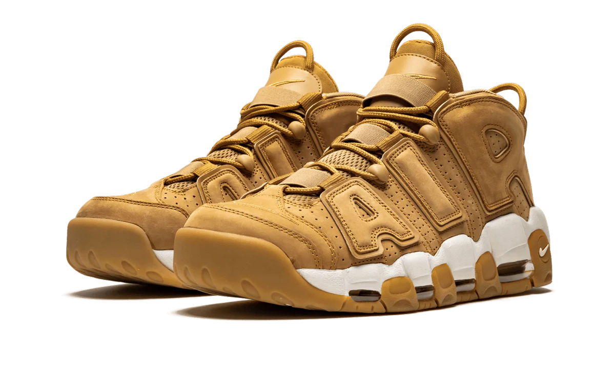 Air More Uptempo '96 PRM AA4060 200