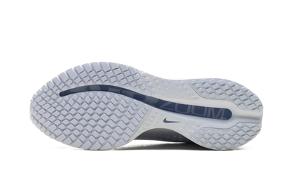 Air Zoom Pegasus Premium WMNS "Football Grey" HQ2593 006