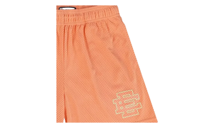 EE Basic Core Mesh Shorts "Salmon" EE178