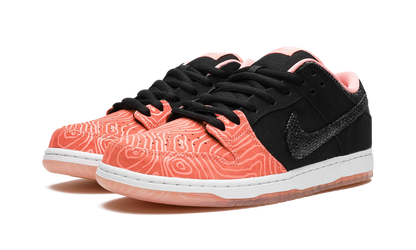 SB Dunk Low Premium "Salmon" 313170 603