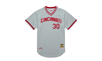 MLB Ken Griffey Jr. Alternate Jersey "2004 Cincinnati Reds - Grey" AJY17187 CRE04KGJGREY