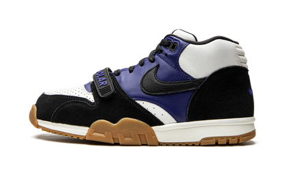SB Air Trainer 1 "Polar Skate Company" CI6892 001