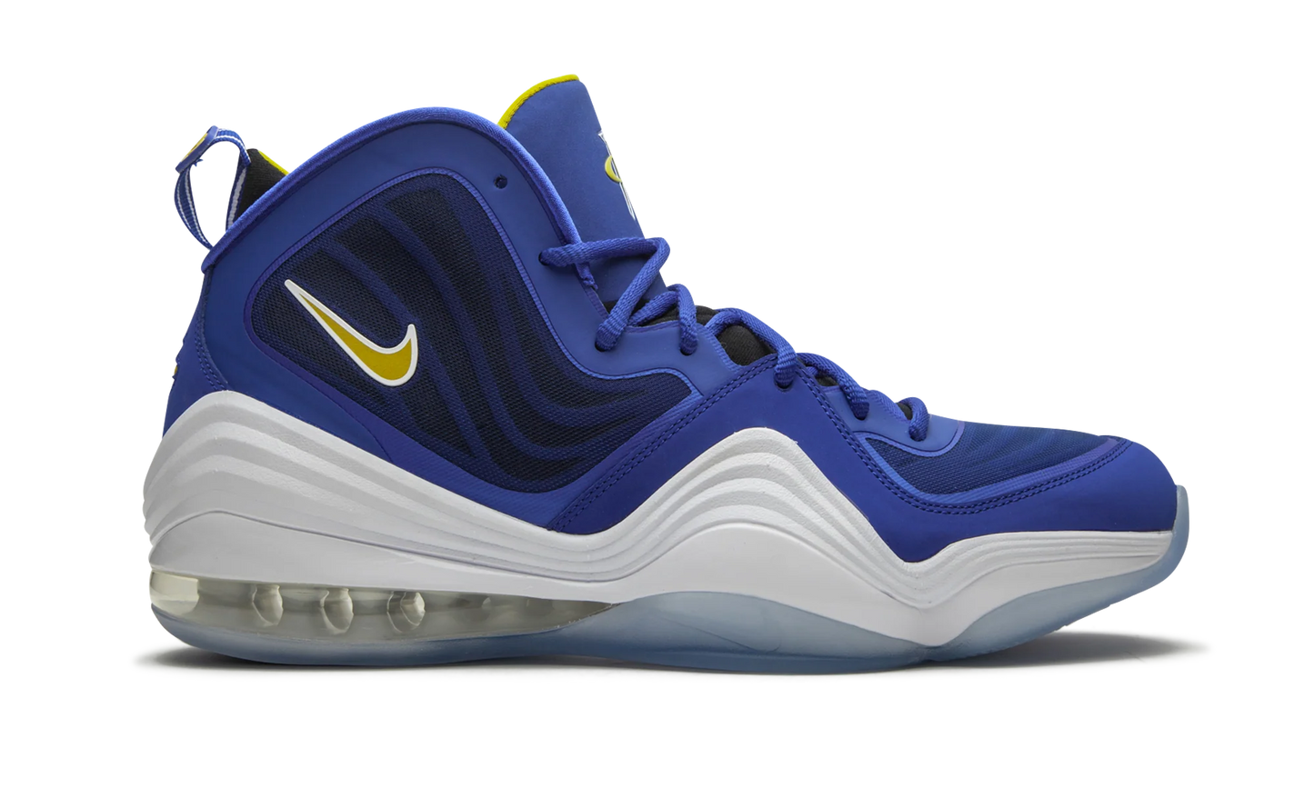 Air Penny 5 "Blue Chips" 537331 402