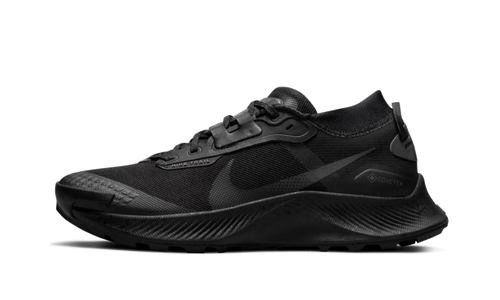 Pegasus Trail 3 Gore-Tex Wmns "Black" DC8794 001
