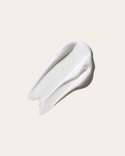 Sacred Santal - Body Cream Refill + Jar Set