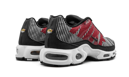 Air Max Plus TN SE "Striped" AT0040 001