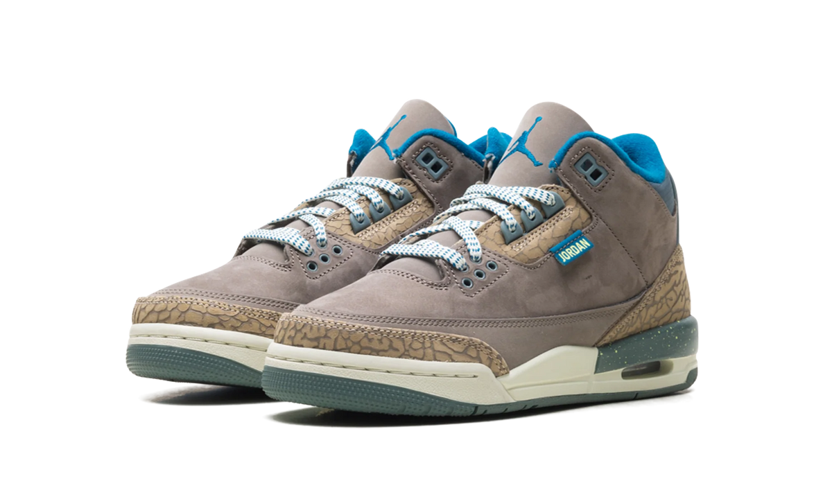 Air Jordan 3 GS "We Outside" IB7066 001