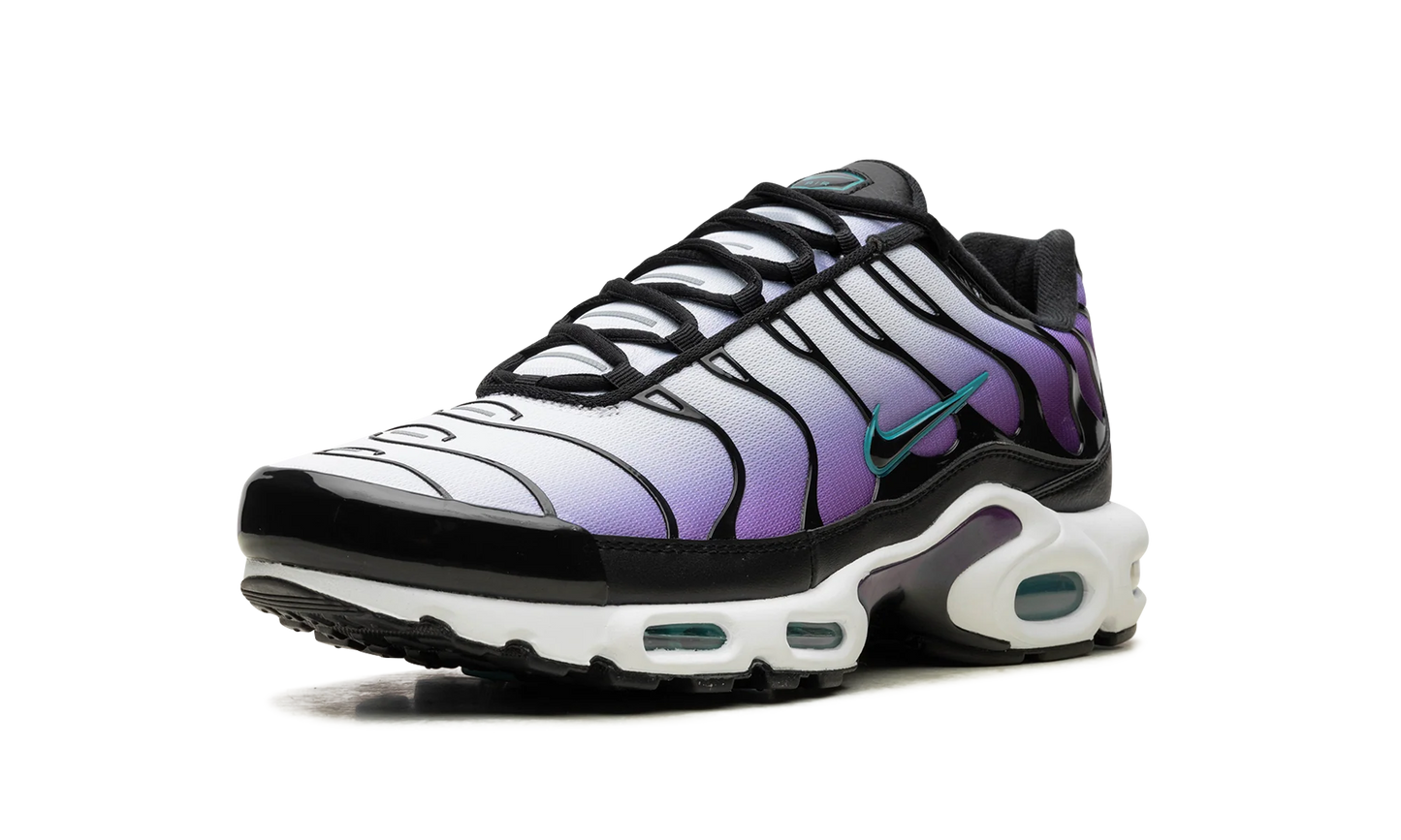 Air Max Plus "Reverse Grape" FQ2415 500