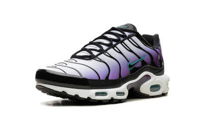 Air Max Plus "Reverse Grape" FQ2415 500