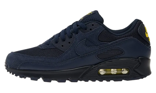 Air Max 90 "Obsidian" DM0029 401