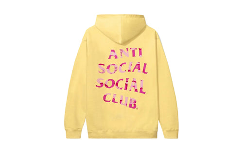 Plain Sight Hoodie "Yellow/Pink - FW21 Collection" ASSCFW21 013