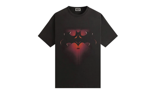 Batman and Robin Logo Vintage Tee "Black" KHM032760 001