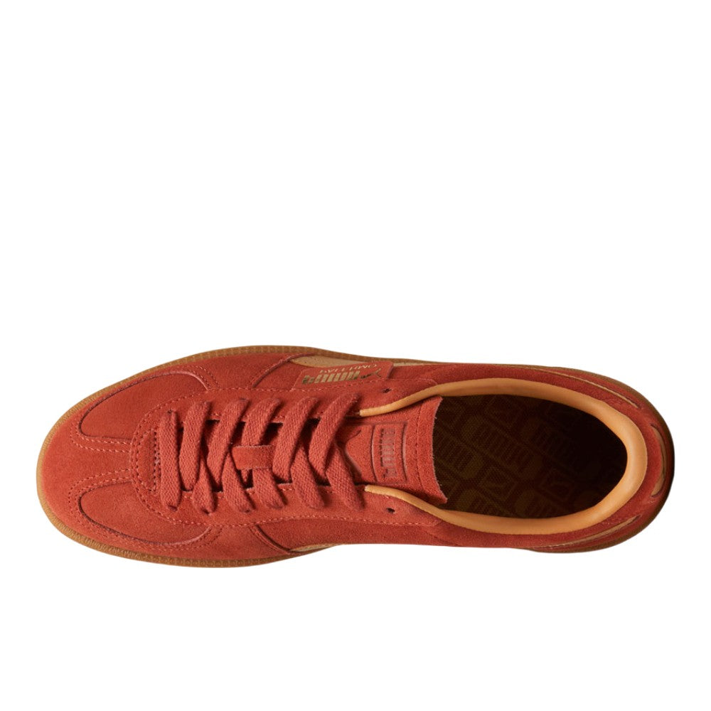 Palermo Lace Up Sneakers