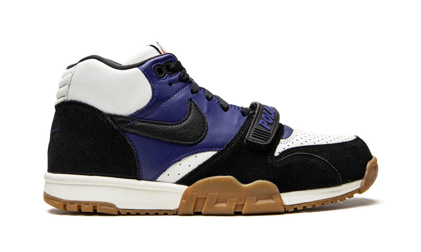 SB Air Trainer 1 "Polar Skate Company" CI6892 001