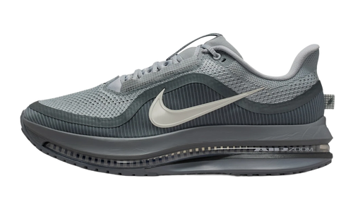Air Zoom Pegasus Premium "Wolf Grey" HQ2592 013