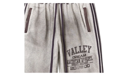 DESTROYER SWEATPANTS "Grey / Purple" VAL104