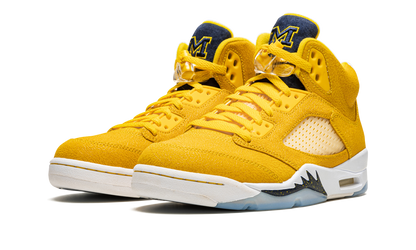 5 Retro PE "Michigan" DJ4954 997021