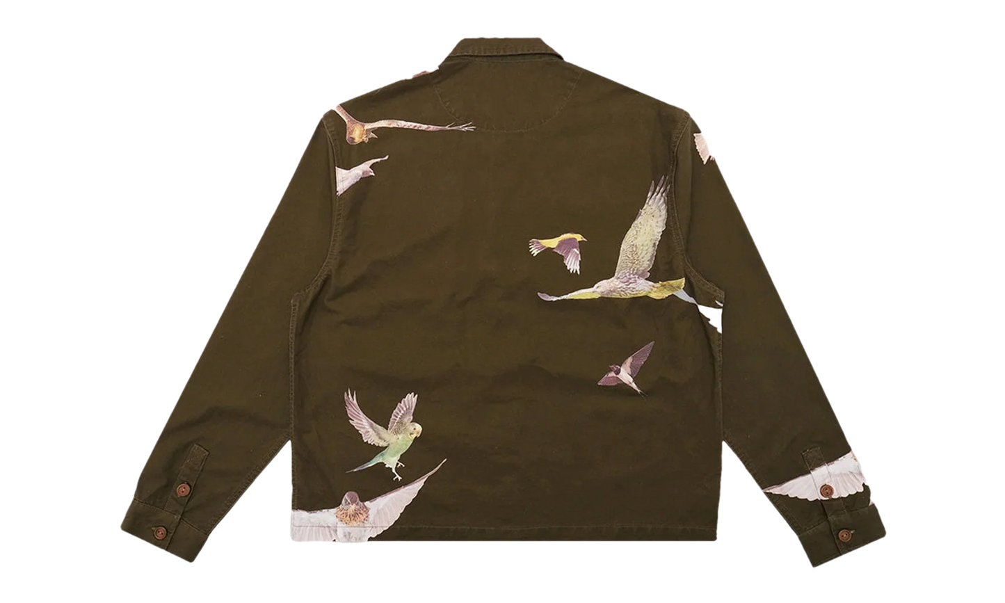 Windmill Chore Jacket "Green" SG2504083