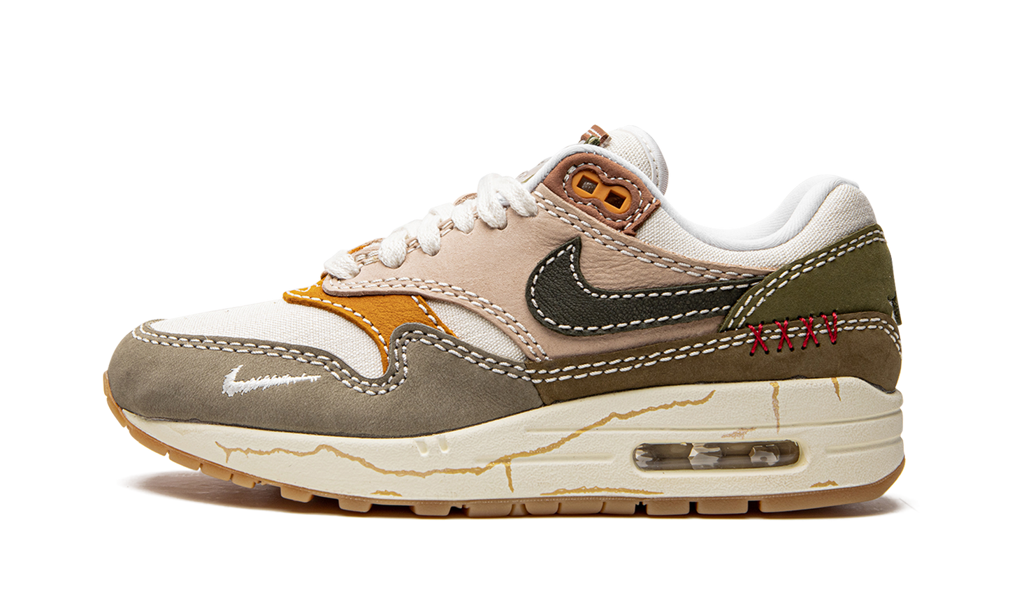 Air Max 1 Premium "Wabi-sabi" DQ8656 133