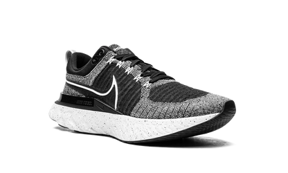React Infinity Run Flyknit 2 CT2357 101