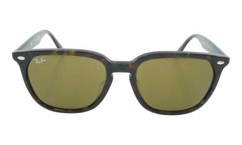 Square Sunglasses "HAVANA" RB4362F-902-73_55