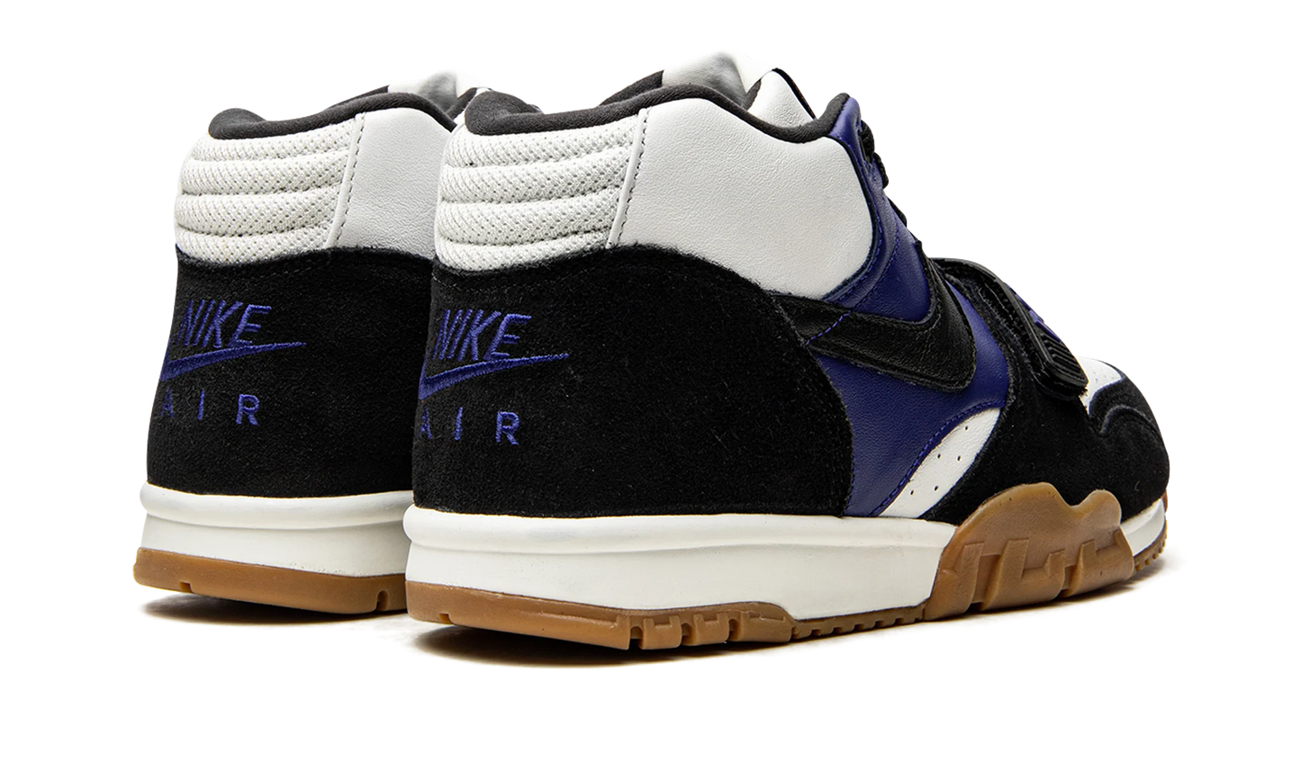SB Air Trainer 1 "Polar Skate Company" CI6892 001
