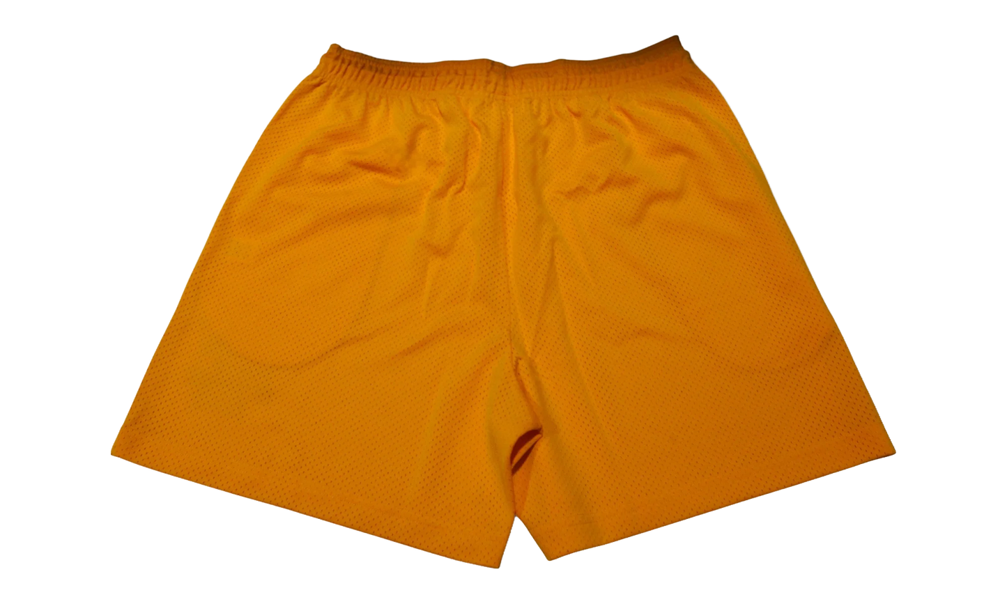 EE SHORTS CORE "Mesh Gold/ Violet" EE763