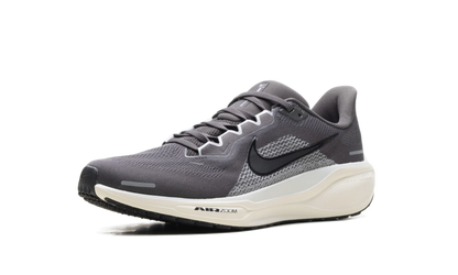 Air Zoom Pegasus 41 "Medium Ash Pure Platinum" FD2722 215