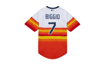 MLB Craig Biggio Alternate Jersey "2004 Houston Astros - White" AJY17186 HAS04CBGWHIT