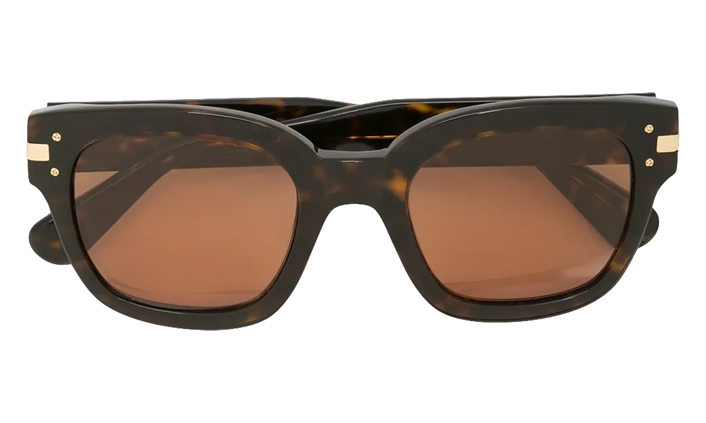 Classic Logo Sunglasses "Brown / Brown / Gold" XA41763AC BBG