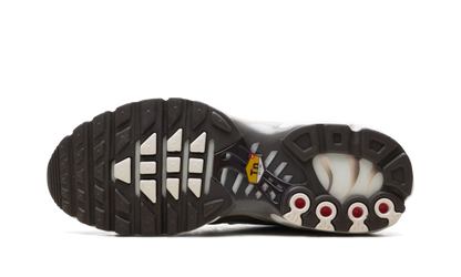Air Max Plus "Mink Brown" DZ3671 200