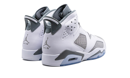 6 "Cool Grey" CT8529 100