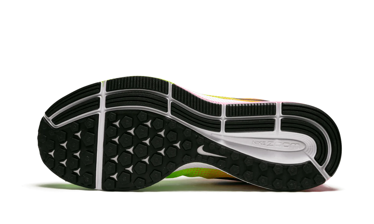 Air Zoom Pegasus 33 OC "Unlimited Olympic Collection" 846327 999