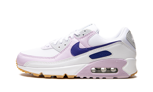 AIR MAX 90 WMNS DX3316 100