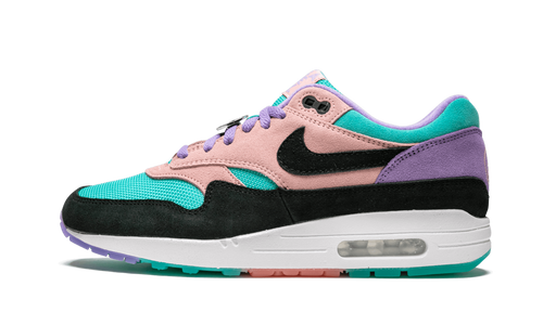 Air Max 1 ND "Have A Day" BQ8929 500