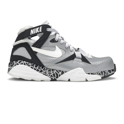 Nike Air Trainer Max 91 'Bo Knows Raiders' (2013)