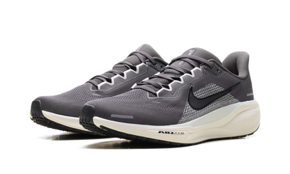 Air Zoom Pegasus 41 "Medium Ash Pure Platinum" FD2722 215