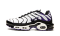 Air Max Plus "Persian Violet" DB0682 100