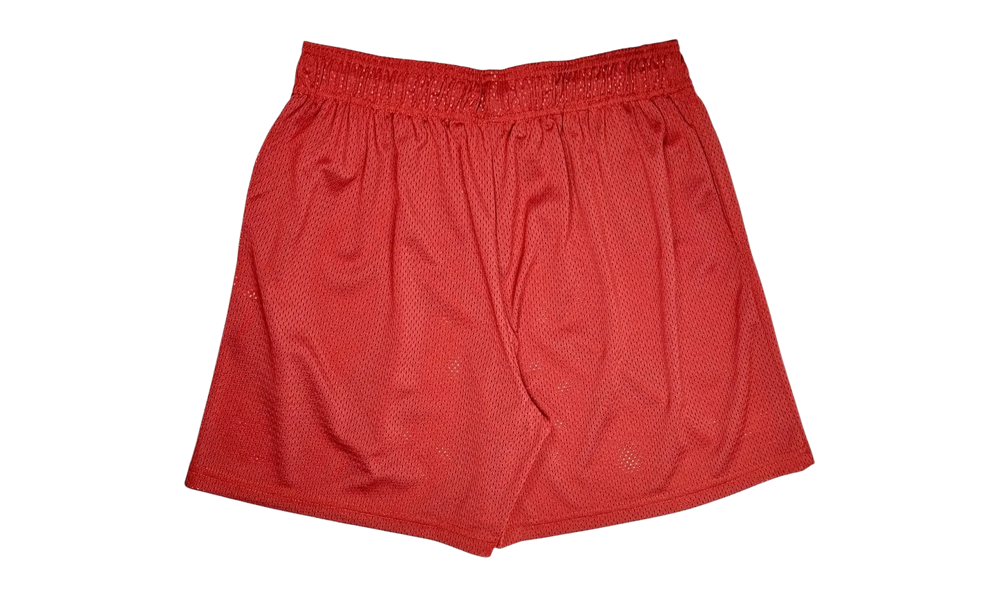EE Basic Shorts "Crimson / Varsity Yellow" EE160