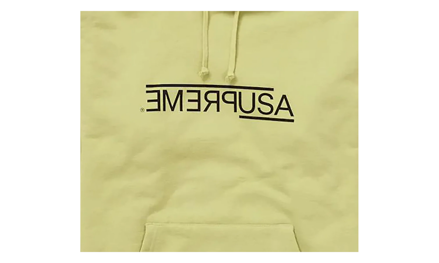 USA Hooded Sweatshirt "Light Sage" FW21SW79 LIGHT SAGE