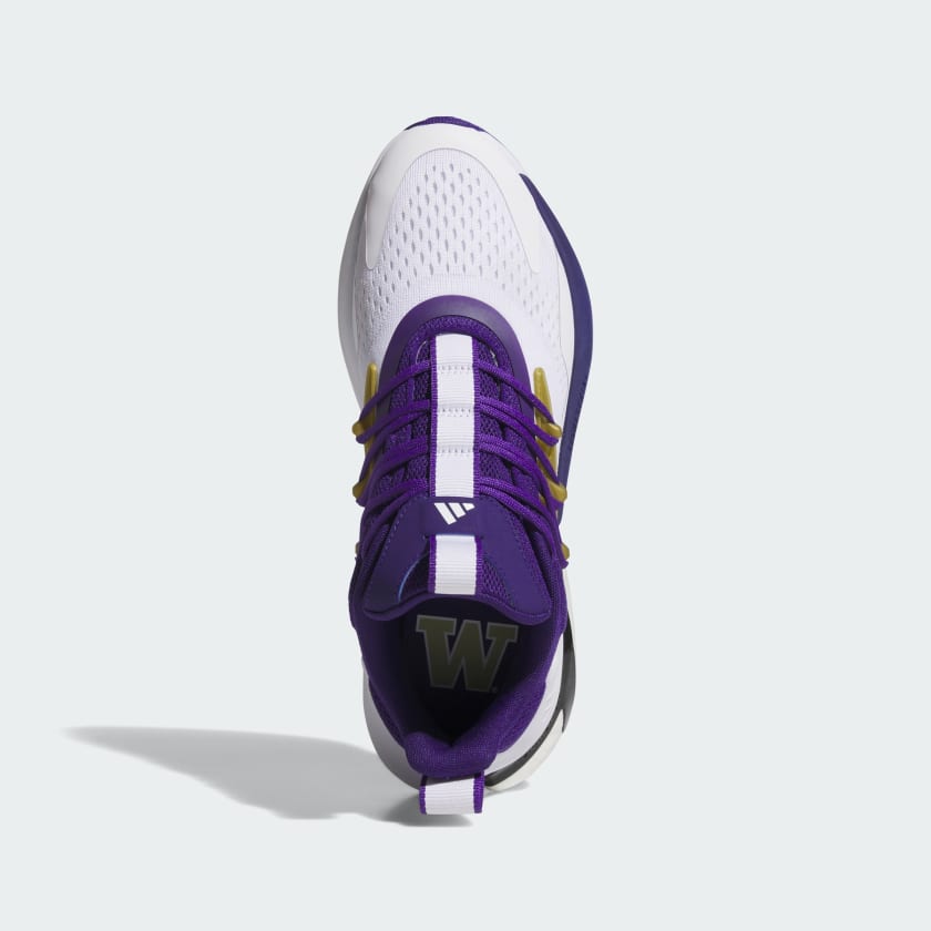 Men's Washington Alphaboost V2 Shoes
