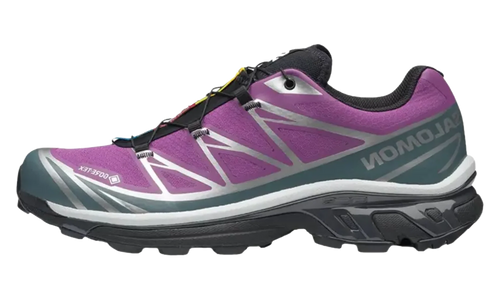 XT-6 Gore-Tex "Concord Grape Stormy Weather" L47990100